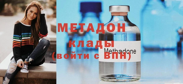 индика Алексин
