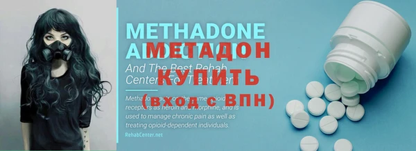 индика Алексин