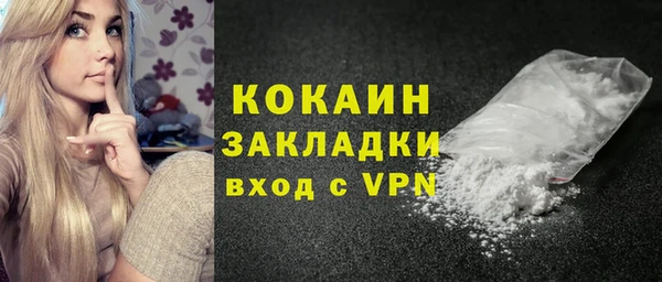 индика Алексин