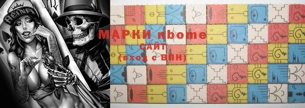 индика Алексин