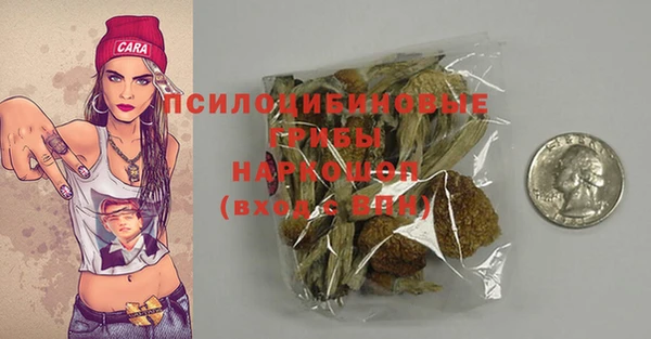 молекула духа Абинск