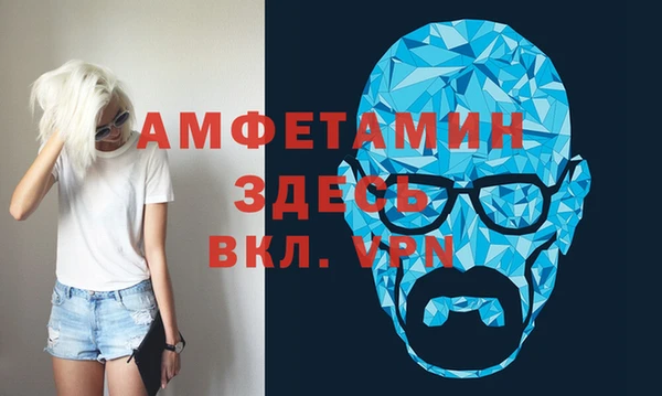индика Алексин