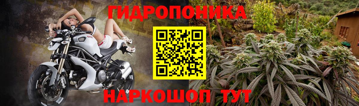 Шишки марихуана Bruce Banner Конаково